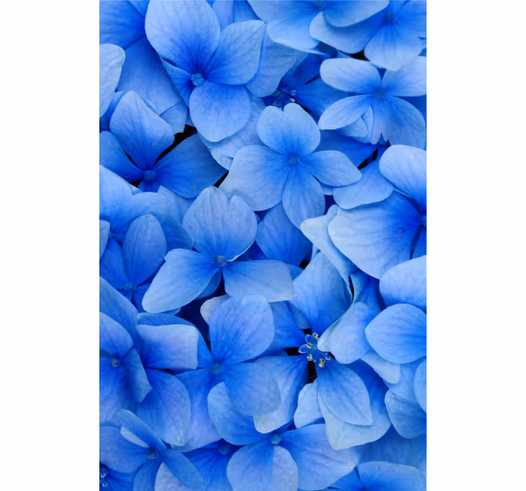 Hydrangea terälehdet kuosi olohuone tapetti - Tenstickers