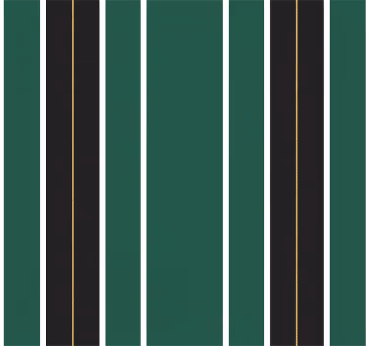 Pystysuora raitatapetti vihreä ja musta - Tenstickers