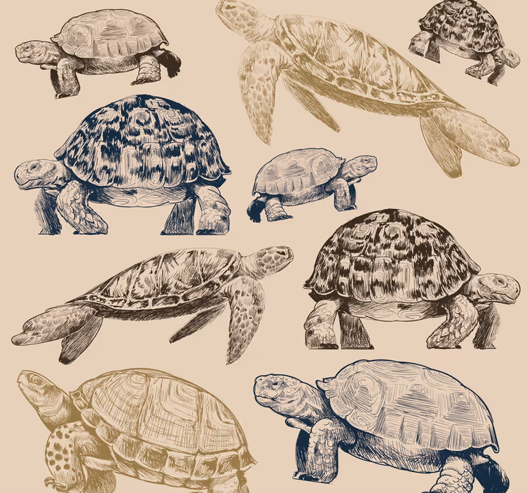 Kauniit kilpikonnat beige tausta eläintapetti - Tenstickers