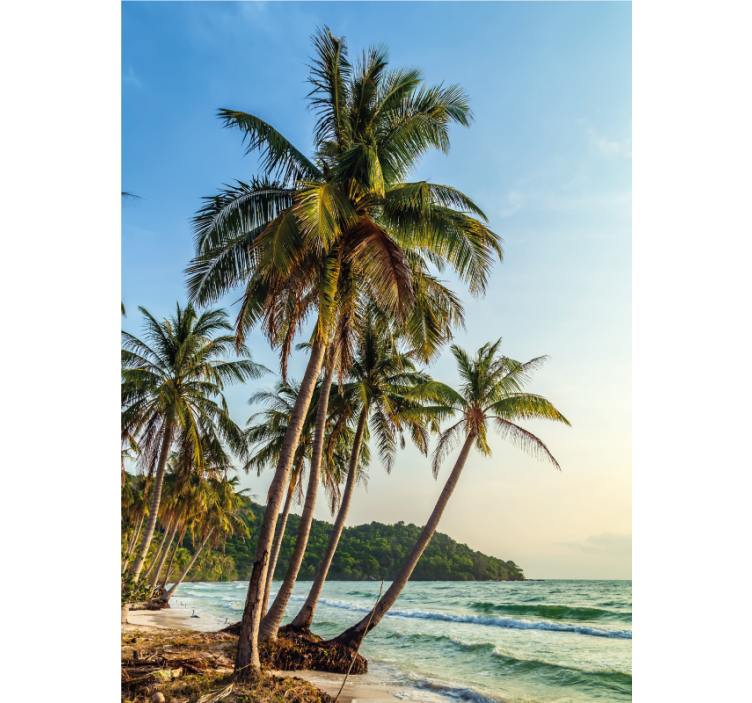 Palmuja rannalla kylpyhuoneen rullaverho - Tenstickers