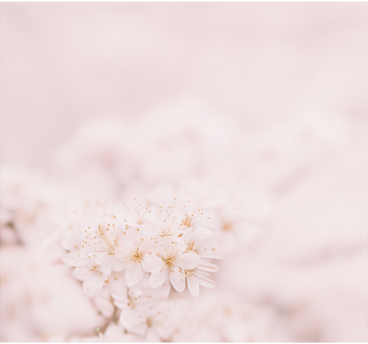 Herkät kirsikankukat makuuhuoneen rullaverho - Tenstickers