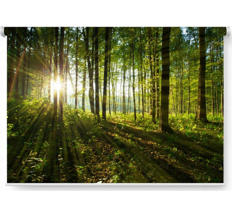 Kultainen auringonsäde puukuviollinen rullaverho - Tenstickers