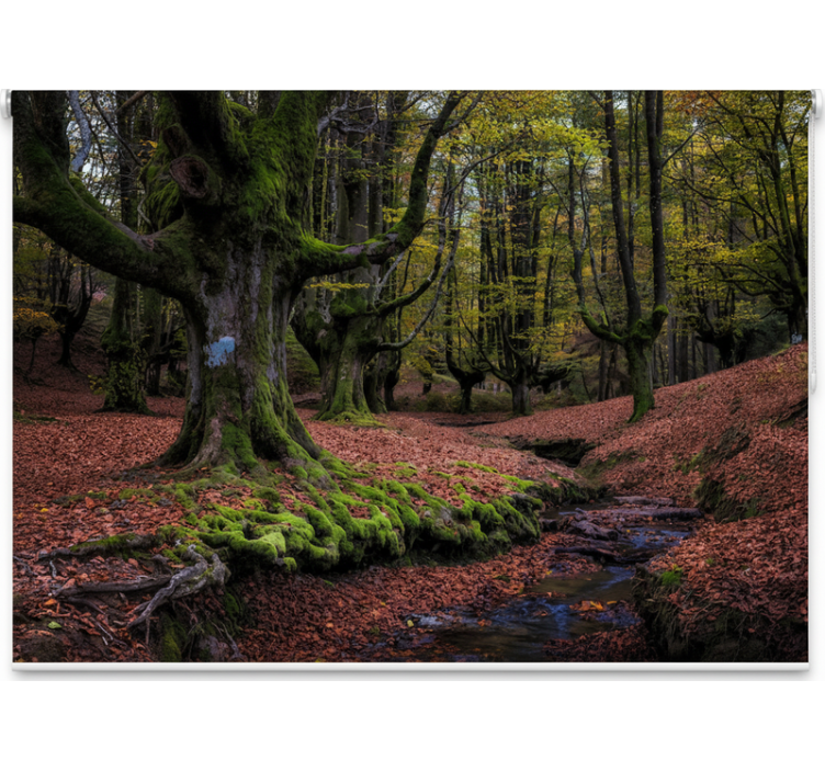 Taianomainen syksyinen metsäpuukuviollinen rullaverho - Tenstickers