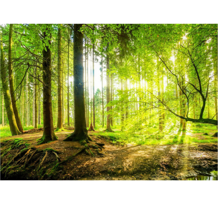 Vihreä vuoristolaakso puukuviollinen rullaverho - Tenstickers