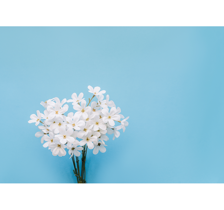 Jasmiini sininen rullaverho - Tenstickers