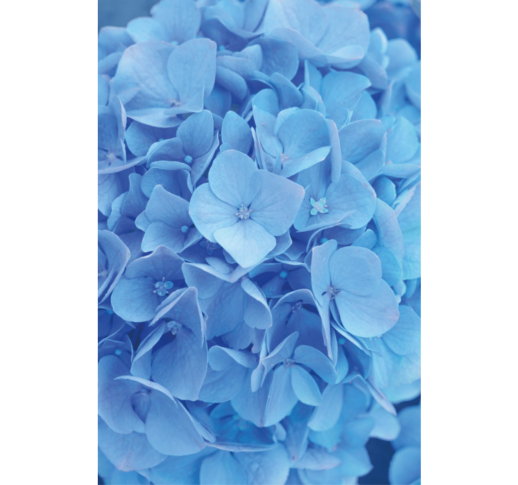 Hydrangea kukka rullaverho - Tenstickers