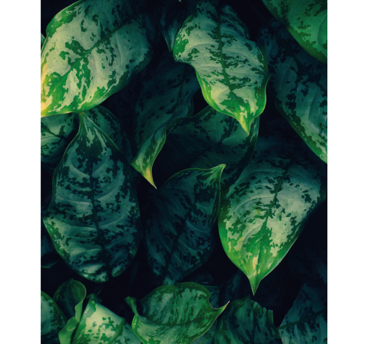 Eloisia vihreitä lehtiä kukat ja kasvit rullaverho - Tenstickers