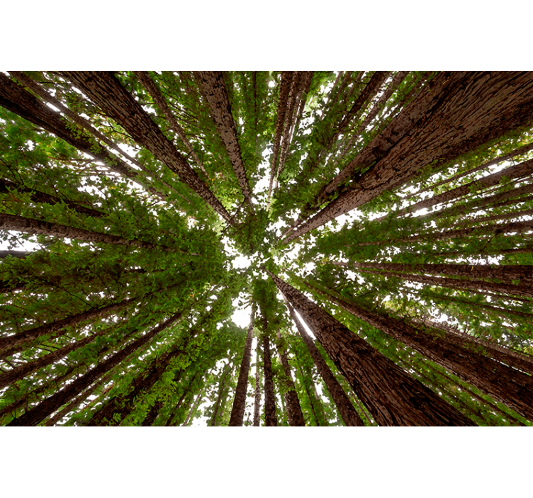 Akvarella korkean metsän olohuoneen rullaverhot - Tenstickers