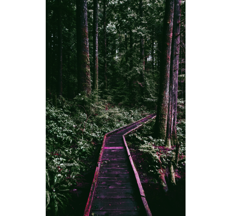 Metsäpolku puukuviollinen rullaverho - Tenstickers