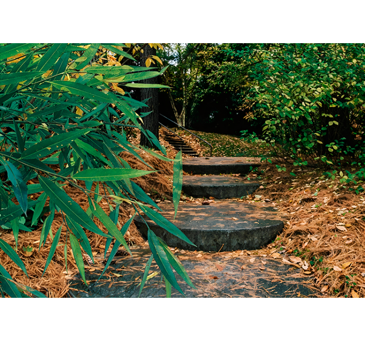 3d metsä- ja pientien alkuperäinen rullaverho - Tenstickers