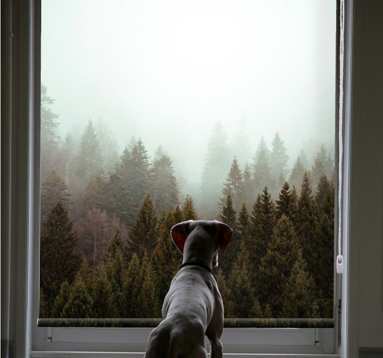 Sumuinen metsänäkymä puukuviollinen rullaverho - Tenstickers