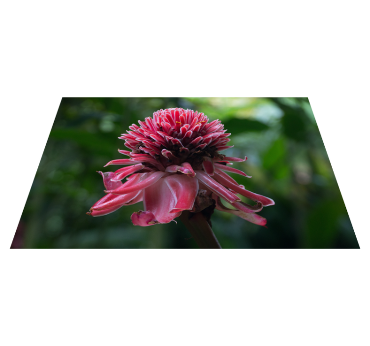 Alkuperäinen pöytätabletti trooppinen kukka-asetelma - Tenstickers