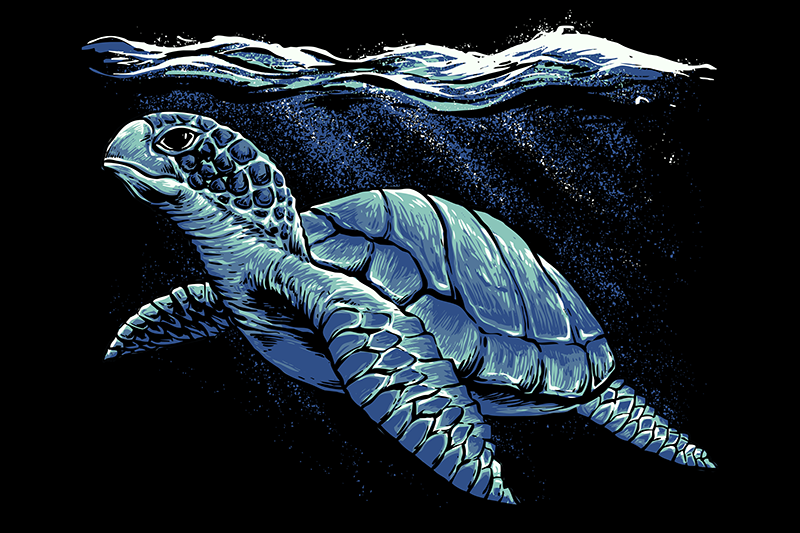 Kilpikonna käsin piirustus sininen pöytätabletti - Tenstickers