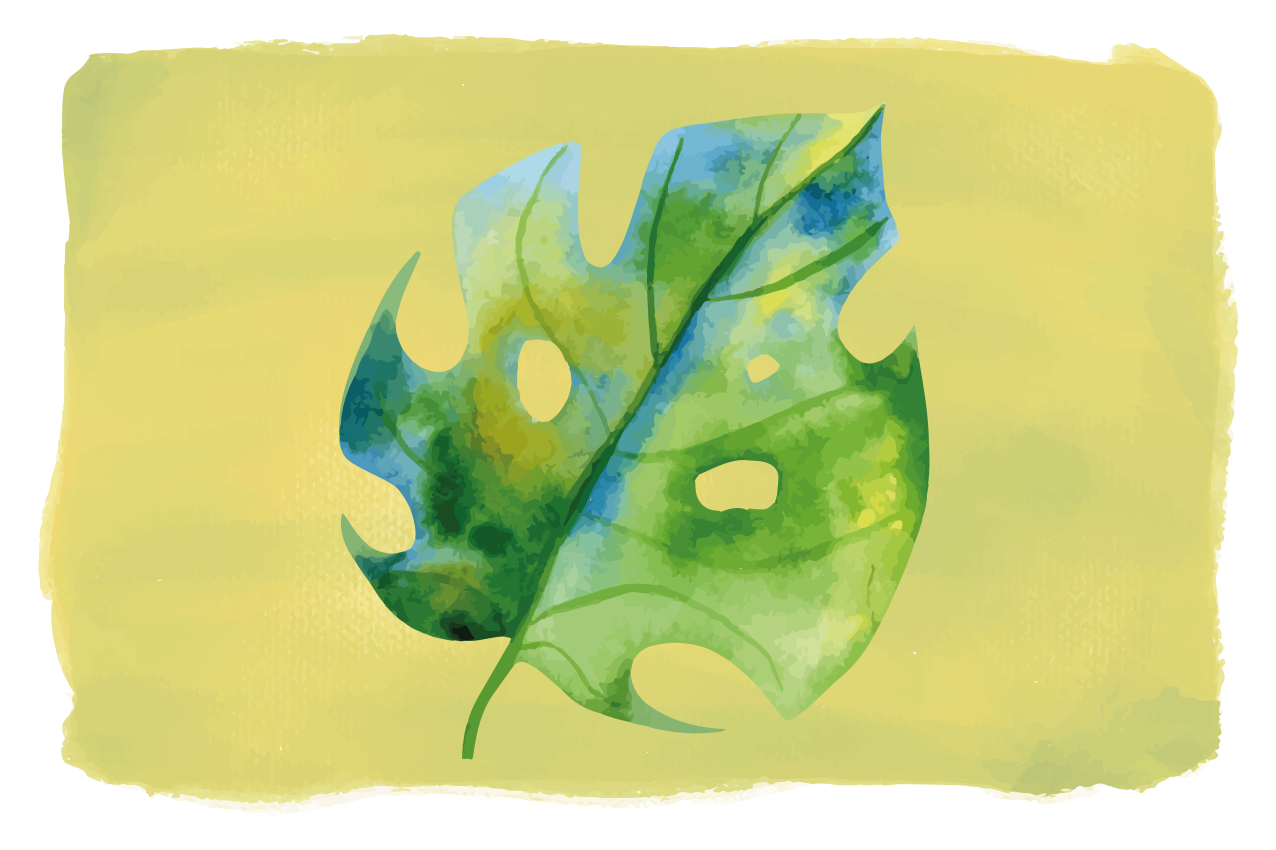 Alkuperäinen pöytätabletti monstera-lehtimuotoilu - Tenstickers