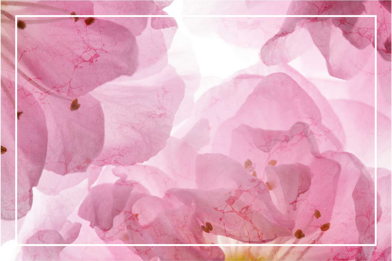 Tyylikäs pöytätabletti pehmeällä kukkakuviolla - Tenstickers