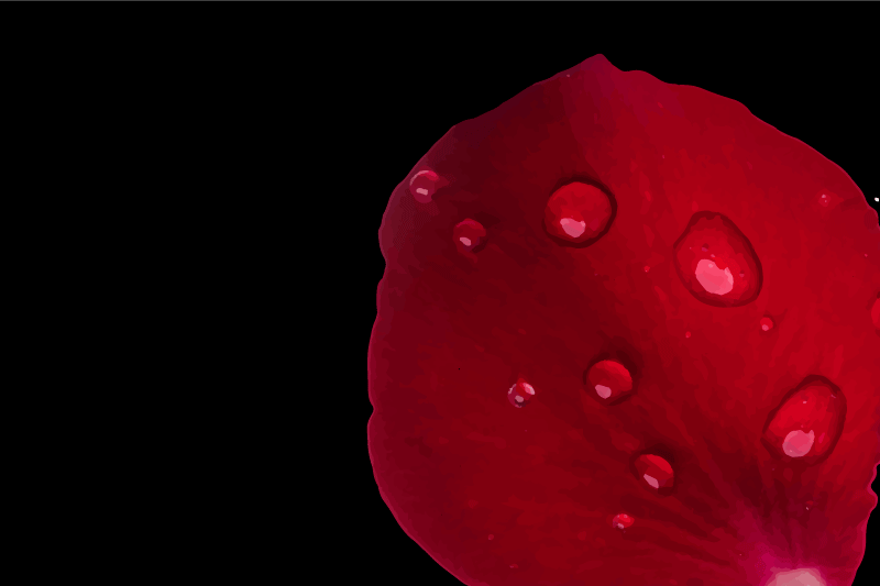 Punainen terälehti pöytätabletti - Tenstickers