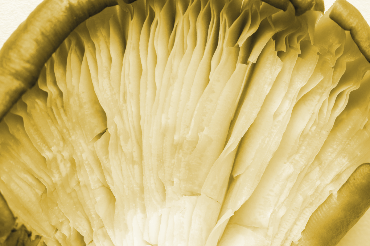 Kaarevat lehtikerroksetpöytätabletti - Tenstickers