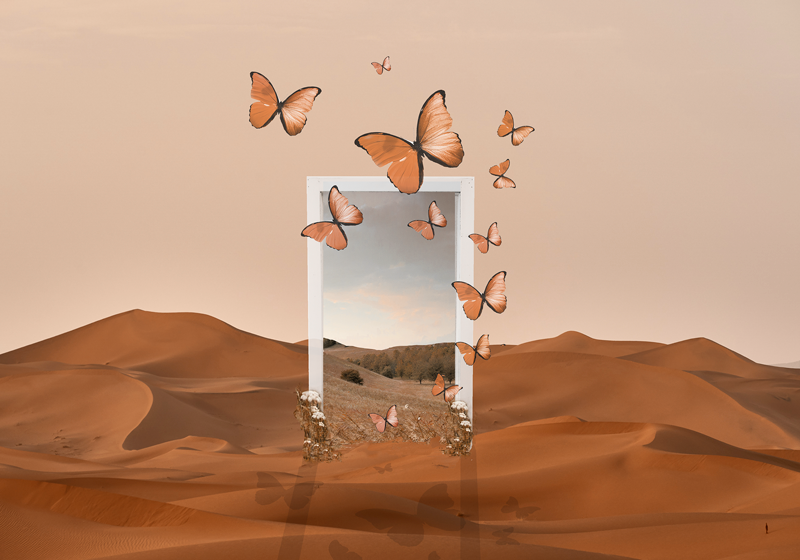 Perhosetemergepöytätabletti - Tenstickers