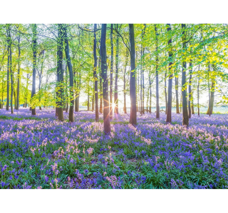 Luontoaiheinen modernismi metsä valokuvatapetti - Tenstickers