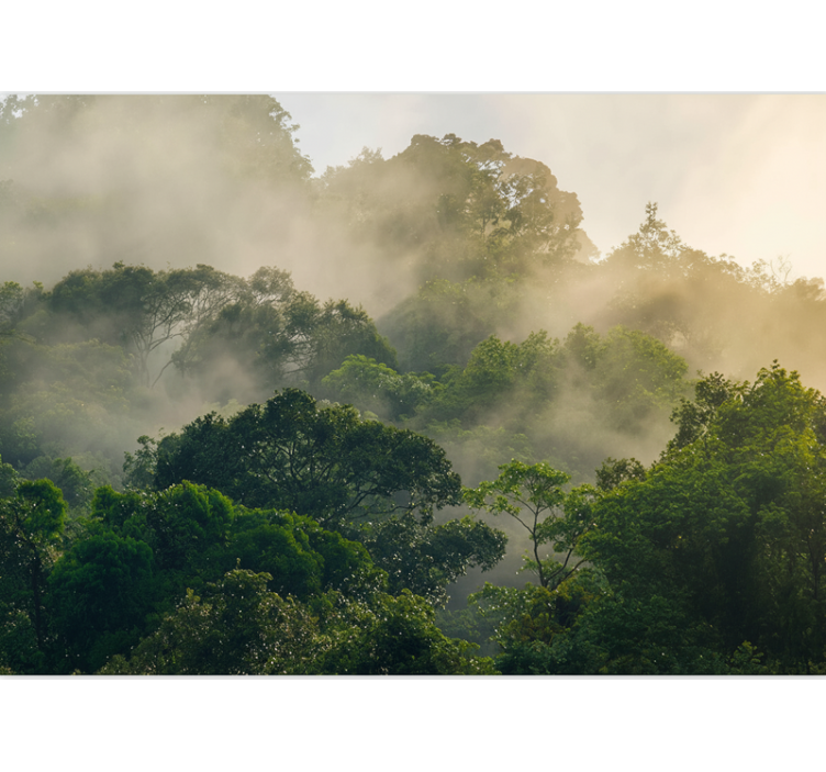 Vihreä viidakon latvus valokuvatapetti - Tenstickers