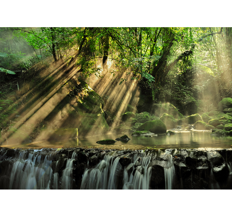 Salainen metsämaisema valokuvatapetti - Tenstickers