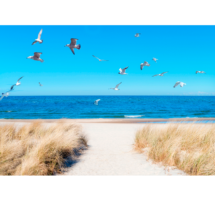 Ranta auringonlaskun valokuvatapetti - Tenstickers