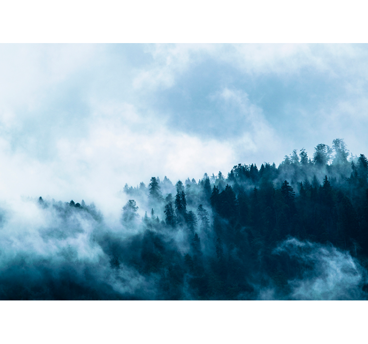 Talvinen sumuinen metsän valokuvatapetti - Tenstickers