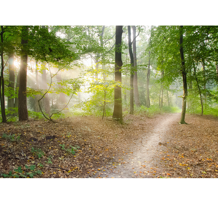 Upea metsävalokuvatapetti - Tenstickers