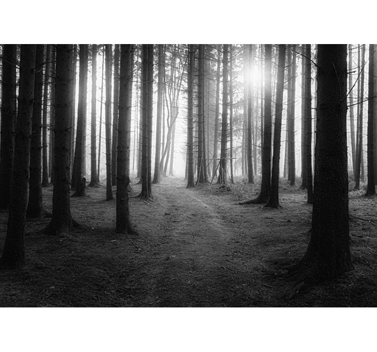 Harmaa metsävalokuvatapetti sinulle - Tenstickers