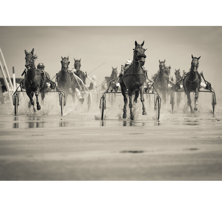 Yhdessä kilpailevat hevoset eläin valokuvatapetti - Tenstickers