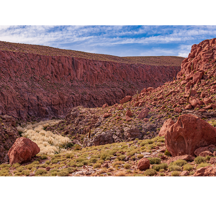 Punainen aavikkomaisema vuori valokuvatapetti - Tenstickers
