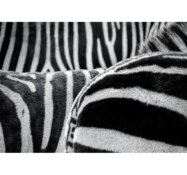 Realistiset seepraraidat eläin valokuvatapetti - Tenstickers