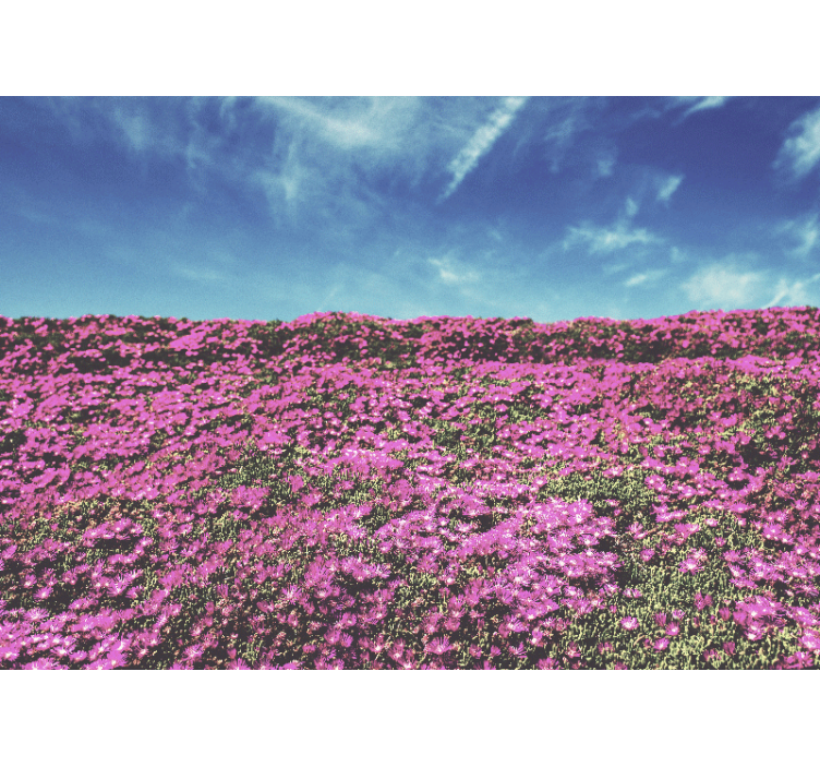 Eloisia vaaleanpunaisia kukkia kukka valokuvatapetti - Tenstickers