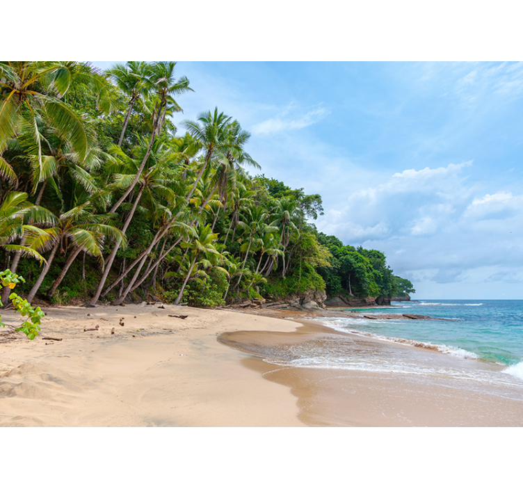 Tropiikin rannan keidas luonto valokuvatapetti - Tenstickers