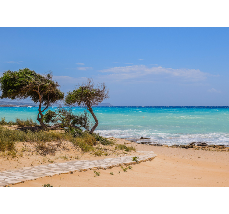 Rauhallinen kohtauspolku meri valokuvatapetti - Tenstickers