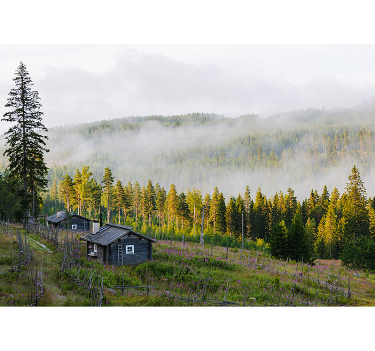 Sumun peittämä metsä maisema valokuvatapetti - Tenstickers