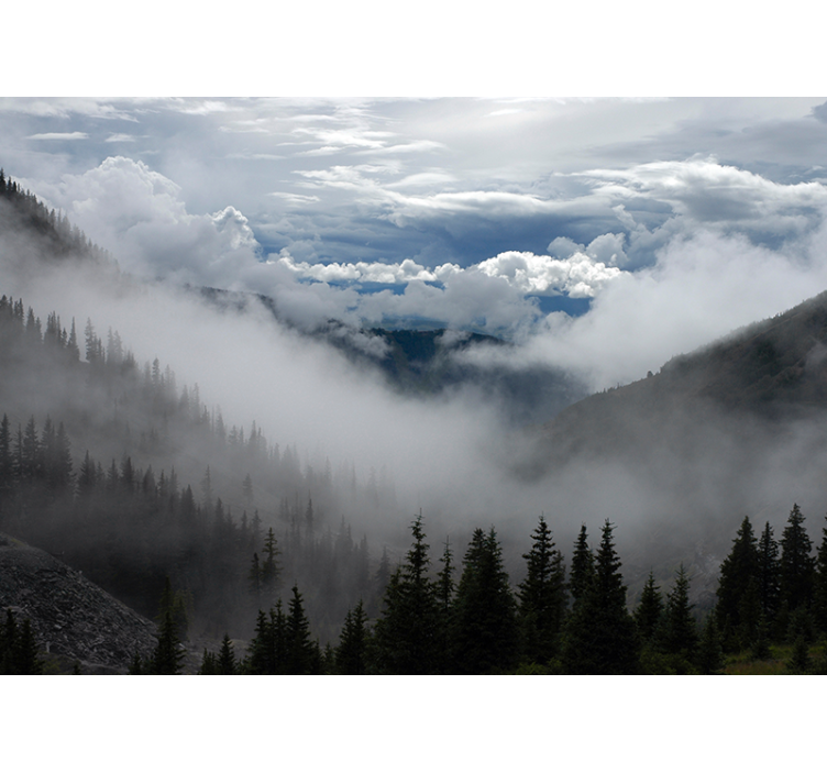 Sumuinen metsämaisema maisema valokuvatapetti - Tenstickers