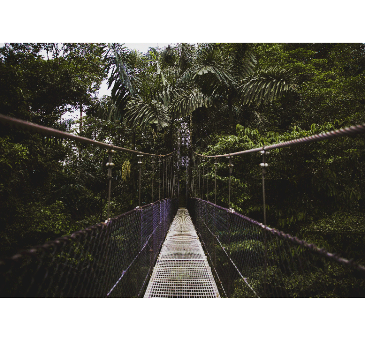 Riippusillan seikkailu luonto valokuvatapetti - Tenstickers