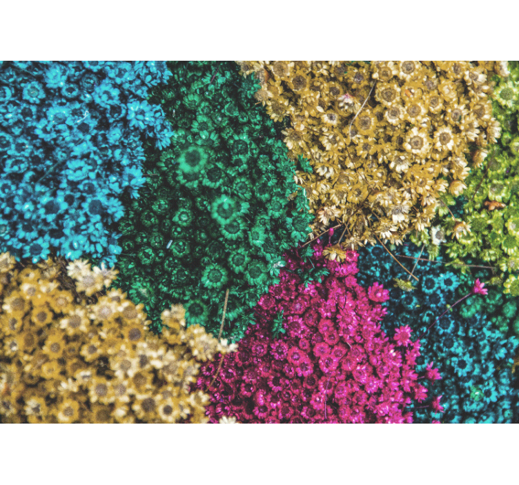 Värikkäät kukkakuviot valokuvatapetti - Tenstickers