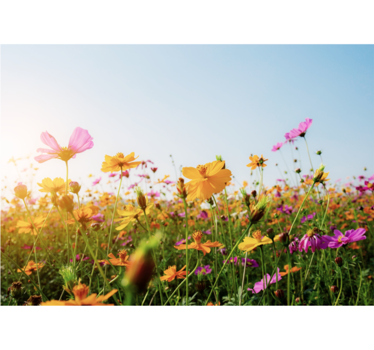 Sekoitus kukkia Muut kukat valokuvatapetti - Tenstickers