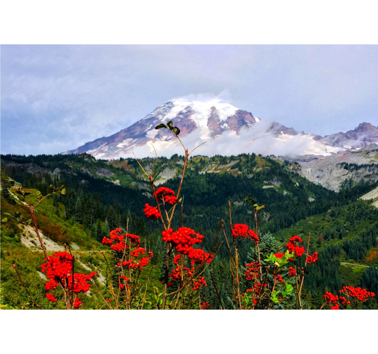 Lumihuippuinen vuoristomaisema valokuvatapetti - Tenstickers