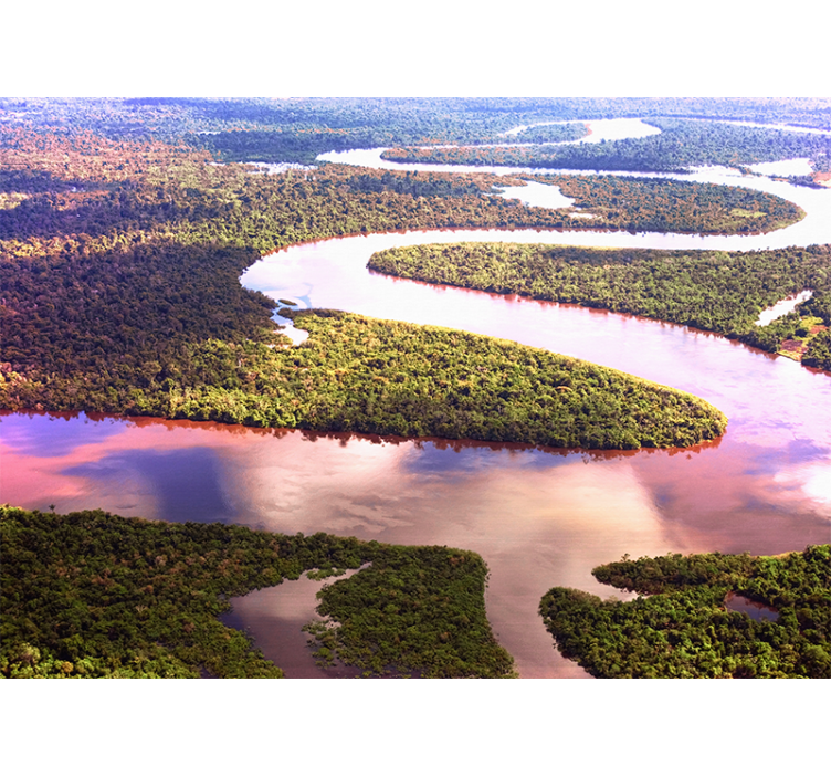 Amazon-joki valokuvatapetti luonto - Tenstickers