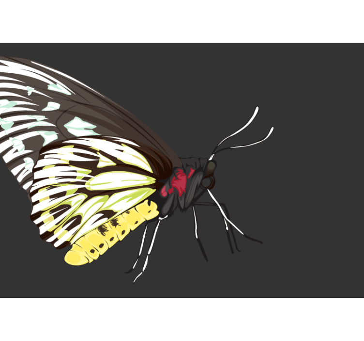 Keltainen perhonen malli valokuvatapetti - Tenstickers