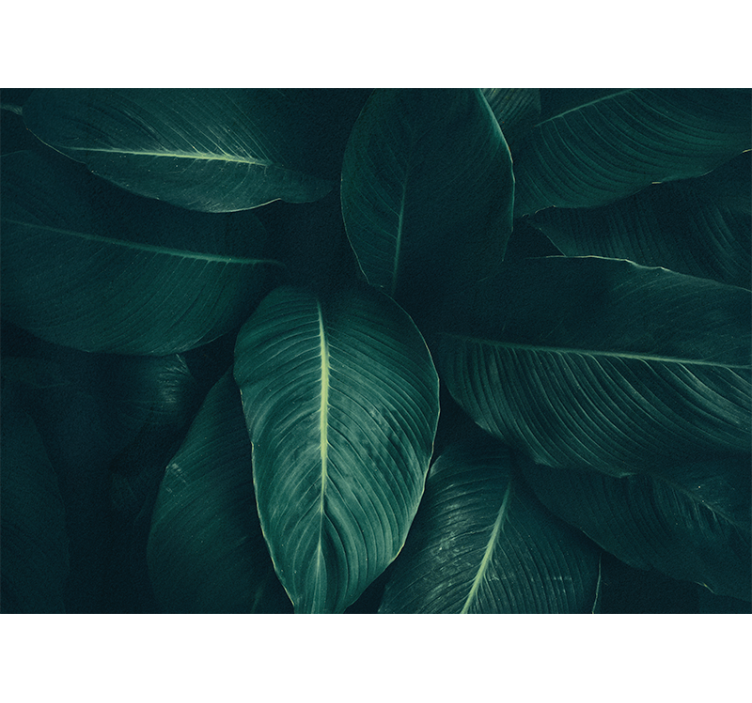 Lush leafy texture luonnonvihreä valokuvatapetti - Tenstickers