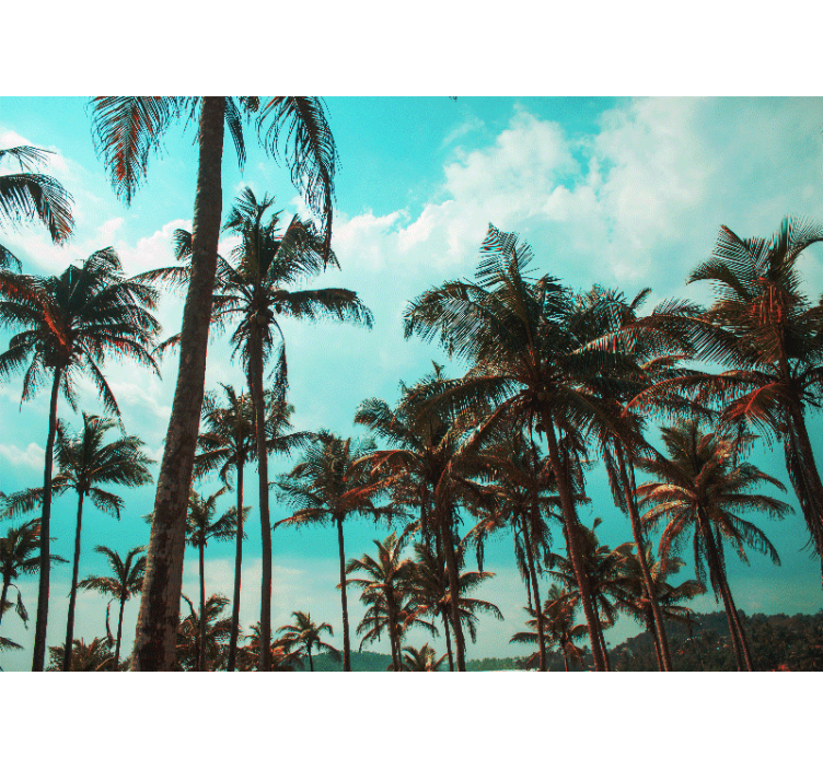 Palmupuiden paratiisi luonto valokuvatapetti - Tenstickers