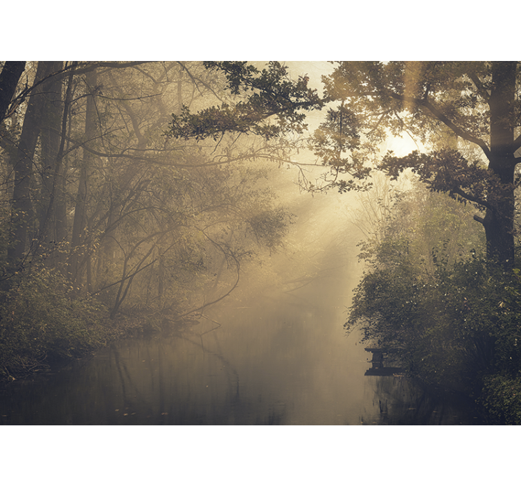 Korkeita vihreitä puita, joissa on aurinkoa valokuvatapetti metsä - Tenstickers