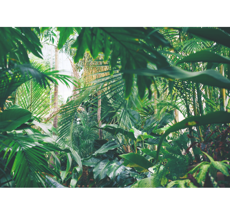 Lush tropical oasis viidakko valokuvatapetti - Tenstickers