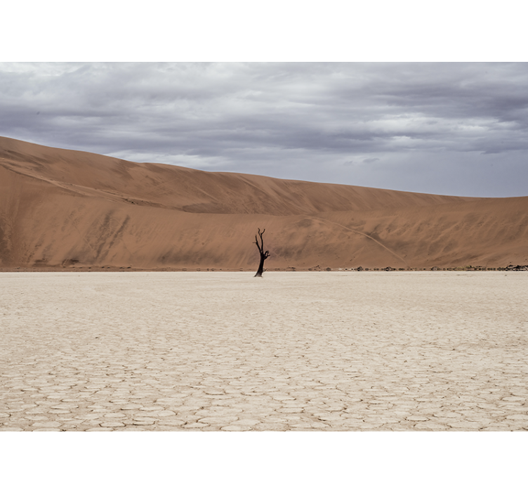 Aavikkoskenaario valokuvatapetti - Tenstickers