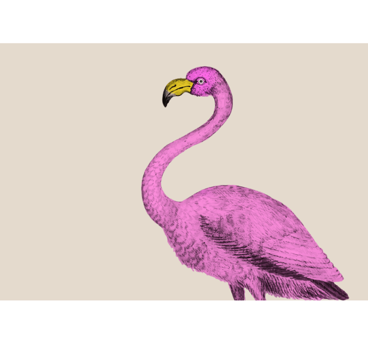 Vaaleanpunainen flamingo eleganssi eläin valokuvatapetti - Tenstickers