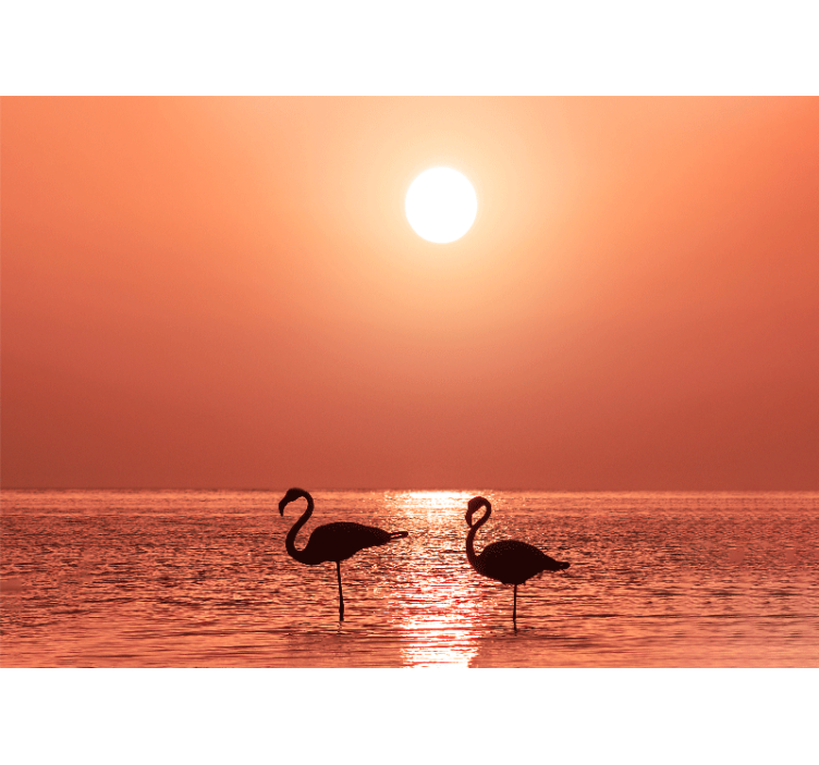 Flamingo auringonlasku taustakuva - Tenstickers